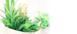 インフルエンザワクチンについてのお知らせ