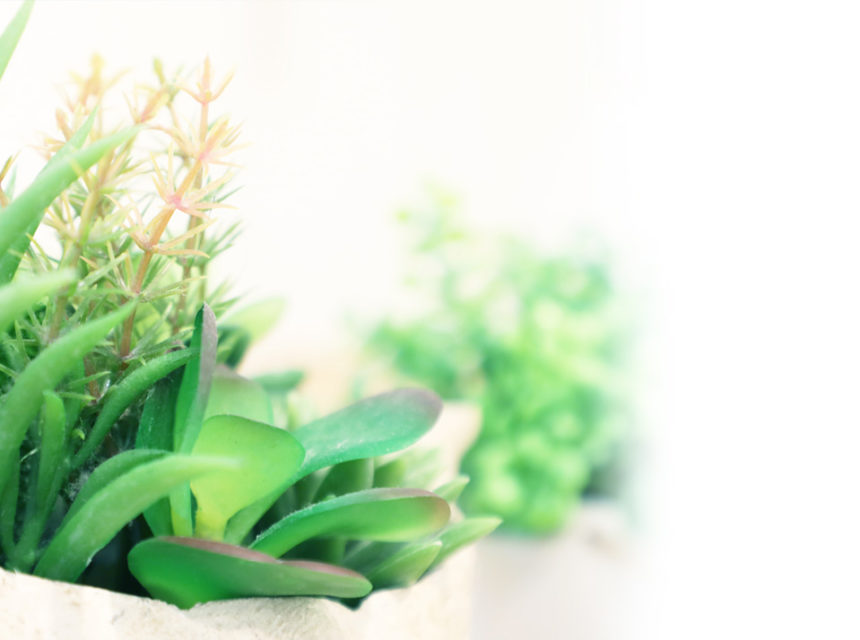 インフルエンザワクチンについてのお知らせ